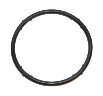 Engine Coolant Pipe O-Ring