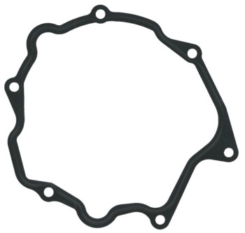 Vacuum Pump Gasket