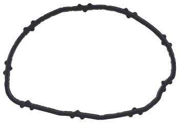 Engine Coolant Thermostat Seal