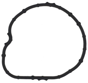 Engine Coolant Thermostat Seal