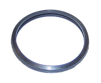 Engine Coolant Thermostat Seal