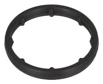 Engine Oil Cooler Gasket