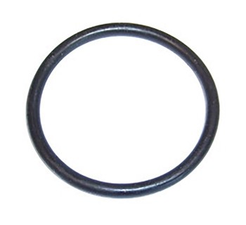 Engine Coolant Thermostat Seal