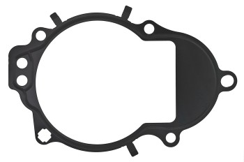 Engine Variable Valve Timing (VVT) Adjuster Seal