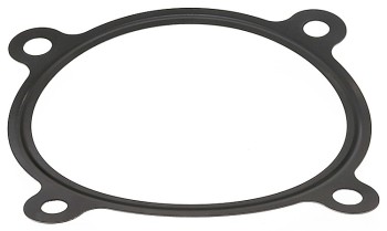 Engine Intake to Exhaust Gasket