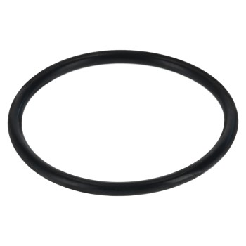 Engine Water Pump Gasket