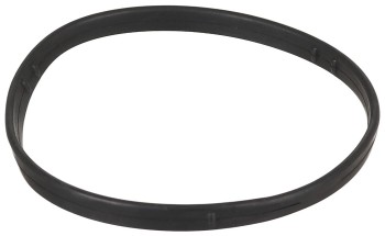 Engine Coolant Thermostat Seal