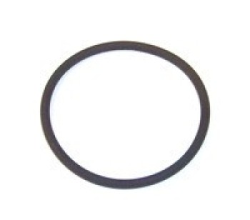 Fuel Pump Tank Seal