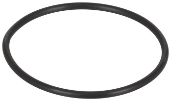 Fuel Injection Throttle Body Seal