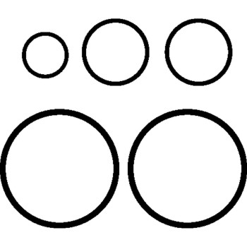 Automatic Transmission Seals and O-Rings Kit