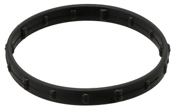 Engine Variable Valve Timing (VVT) Adjuster Seal