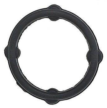 Engine Oil Pan Gasket