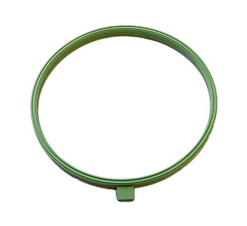 Fuel Injection Throttle Body Seal