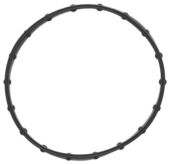Vacuum Pump Gasket