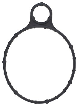 Vacuum Pump Gasket