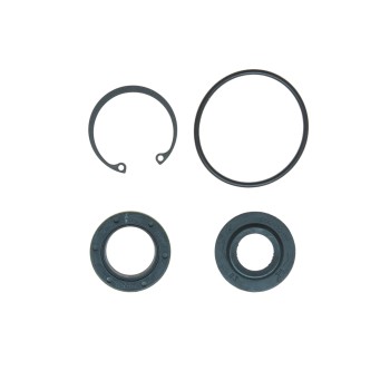 Steering Gear Input Shaft Seal Kit