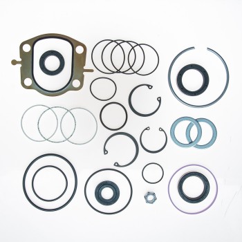 Steering Gear Seal Kit