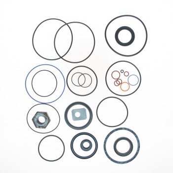 Steering Gear Seal Kit