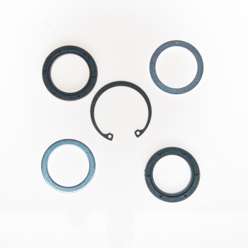 Steering Gear Pitman Shaft Seal Kit