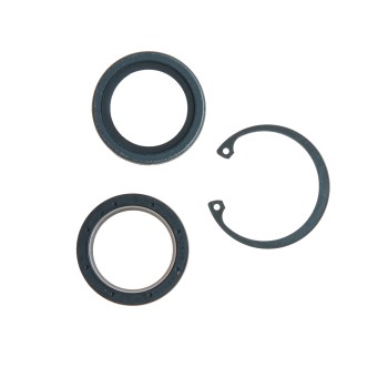 Steering Gear Pitman Shaft Seal Kit