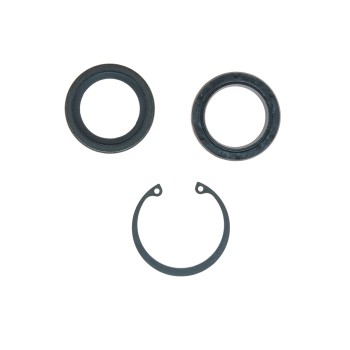 Steering Gear Pitman Shaft Seal Kit