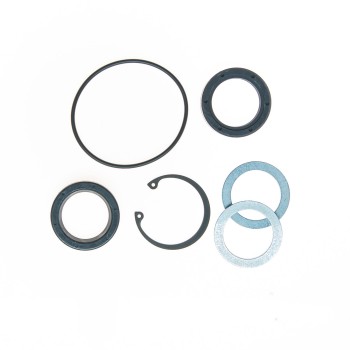Steering Gear Pitman Shaft Seal Kit