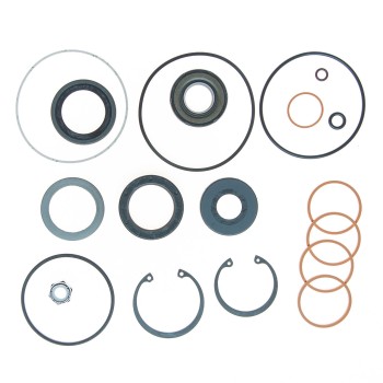 Steering Gear Seal Kit