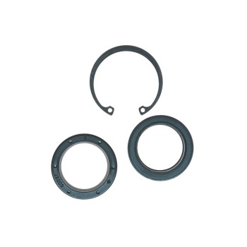 Steering Gear Pitman Shaft Seal Kit