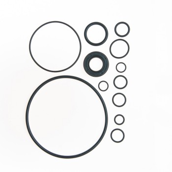 Power Steering Pump Seal Kit