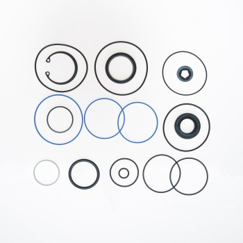 Steering Gear Seal Kit