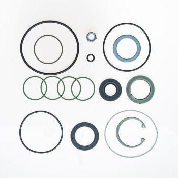 Steering Gear Seal Kit