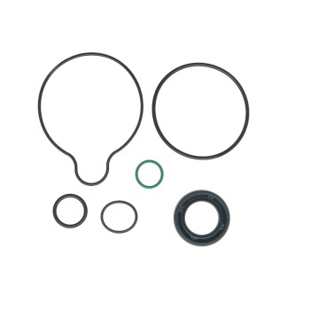 Power Steering Pump Seal Kit