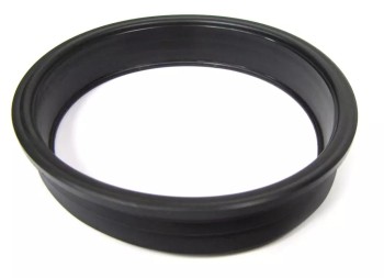 Fuel Pump O-Ring
