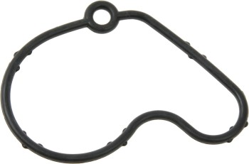Vacuum Pump Gasket