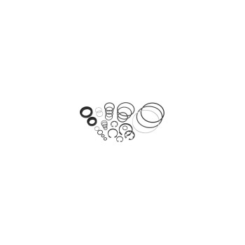 Power Steering Pump Seal Kit