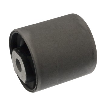 Suspension Control Arm Bushing