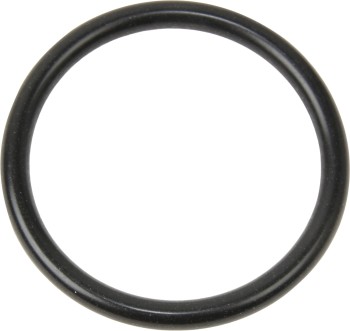 Radiator Coolant Hose Seal