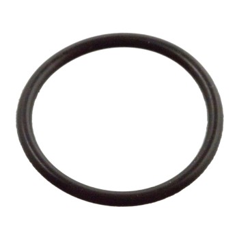 Fuel Injector O-Ring