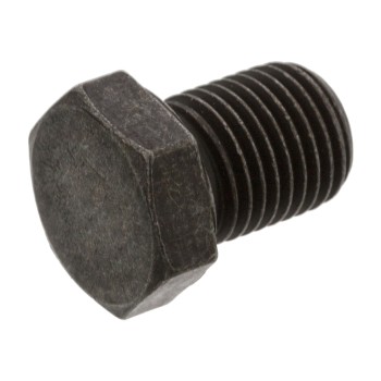 Engine Oil Drain Plug