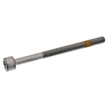 Fuel Injector Rail Bolt