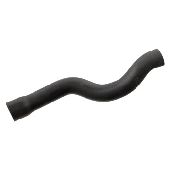 Radiator Coolant Hose