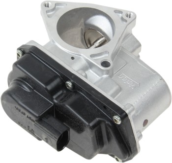 Exhaust Gas Recirculation (EGR) Valve