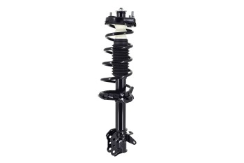 Suspension Strut and Coil Spring Assembly