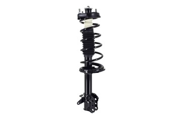Suspension Strut and Coil Spring Assembly