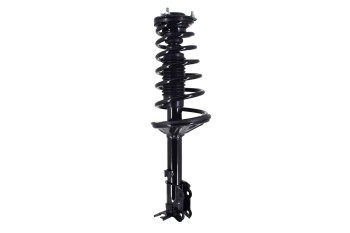 Suspension Strut and Coil Spring Assembly