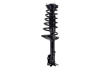Suspension Strut and Coil Spring Assembly