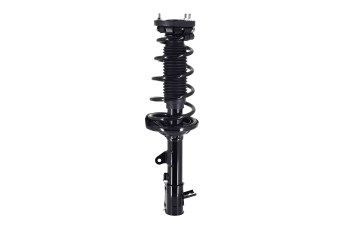 Suspension Strut and Coil Spring Assembly