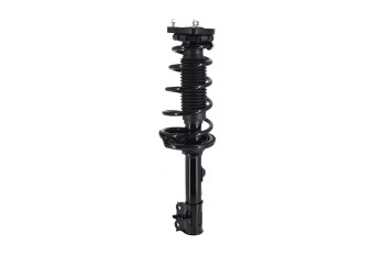 Suspension Strut and Coil Spring Assembly