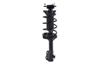 Suspension Strut and Coil Spring Assembly