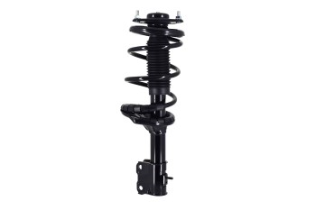 Suspension Strut and Coil Spring Assembly
